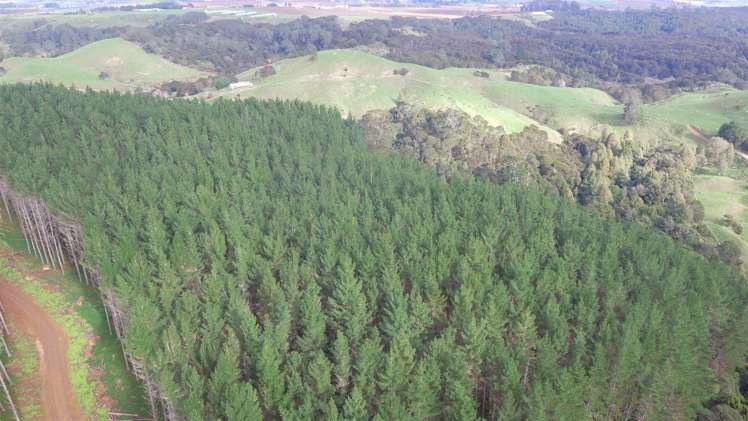 157 Mercer Ferry Road Mercer_12