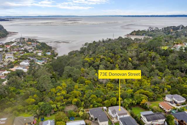 73e Donovan Street Blockhouse Bay_2