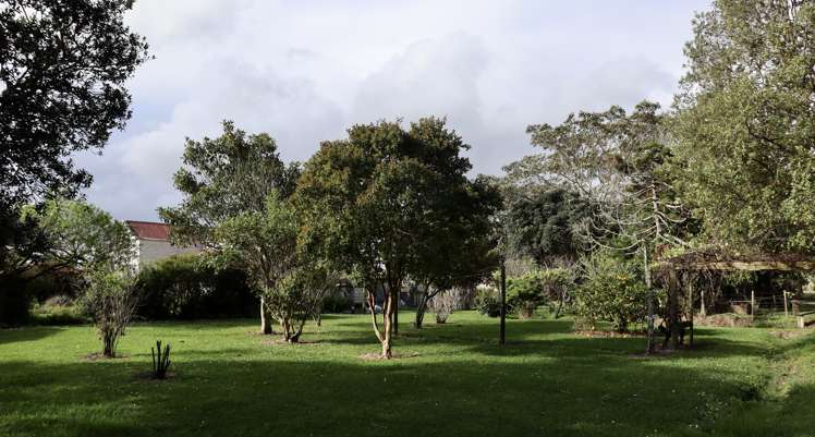 57 Pouto Road Dargaville_22