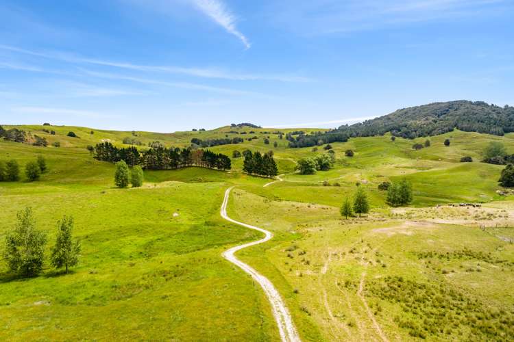 1228a Bull Road Paparoa_19