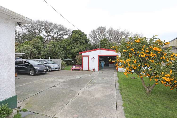 76 Wings Line Marton_18