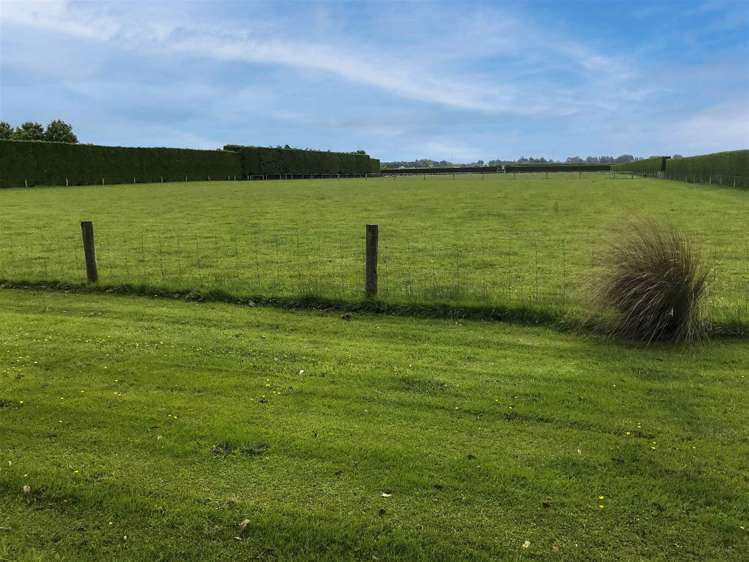 204 Roslyn Road Roslyn Bush_0