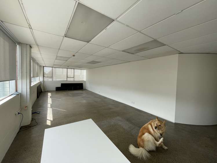 27 Davis Crescent Newmarket_2