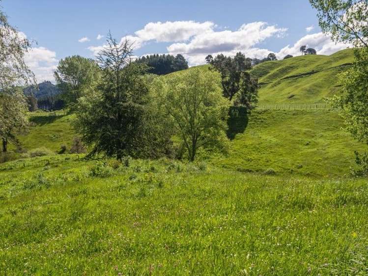 114 Dods Road Waikite Valley_15