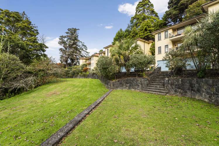 7/7 The Avenue Albany_18