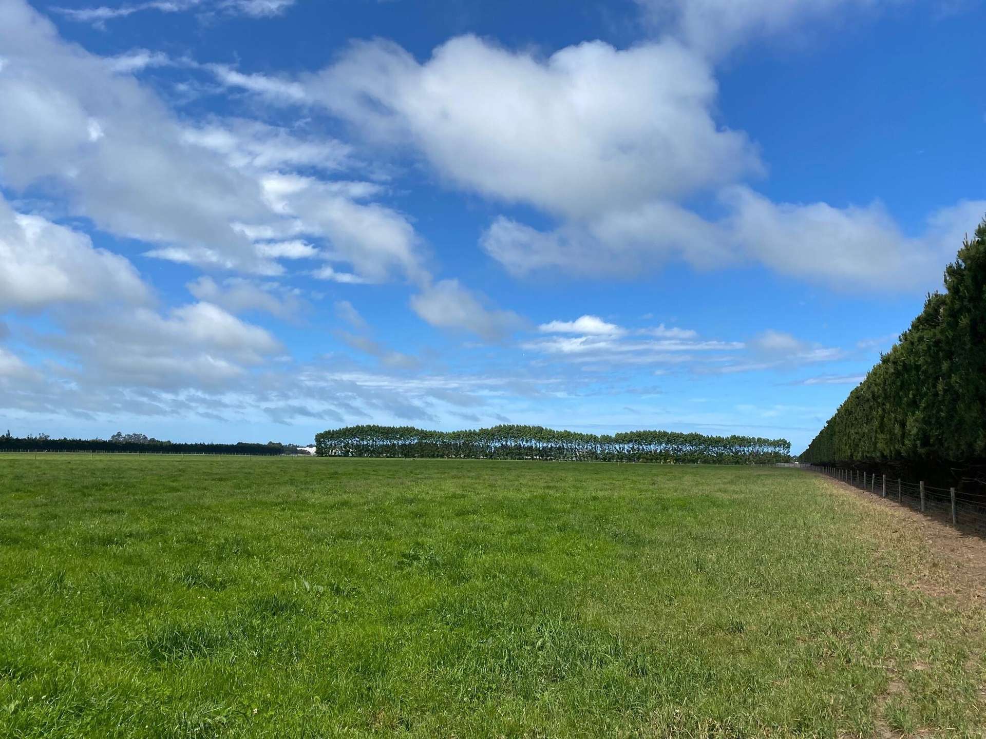 Timaru Temuka Highway Levels_0