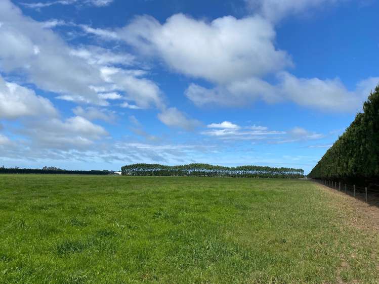 Timaru Temuka Highway_0