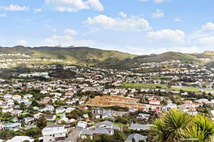 56 Chesterton Street Johnsonville_1