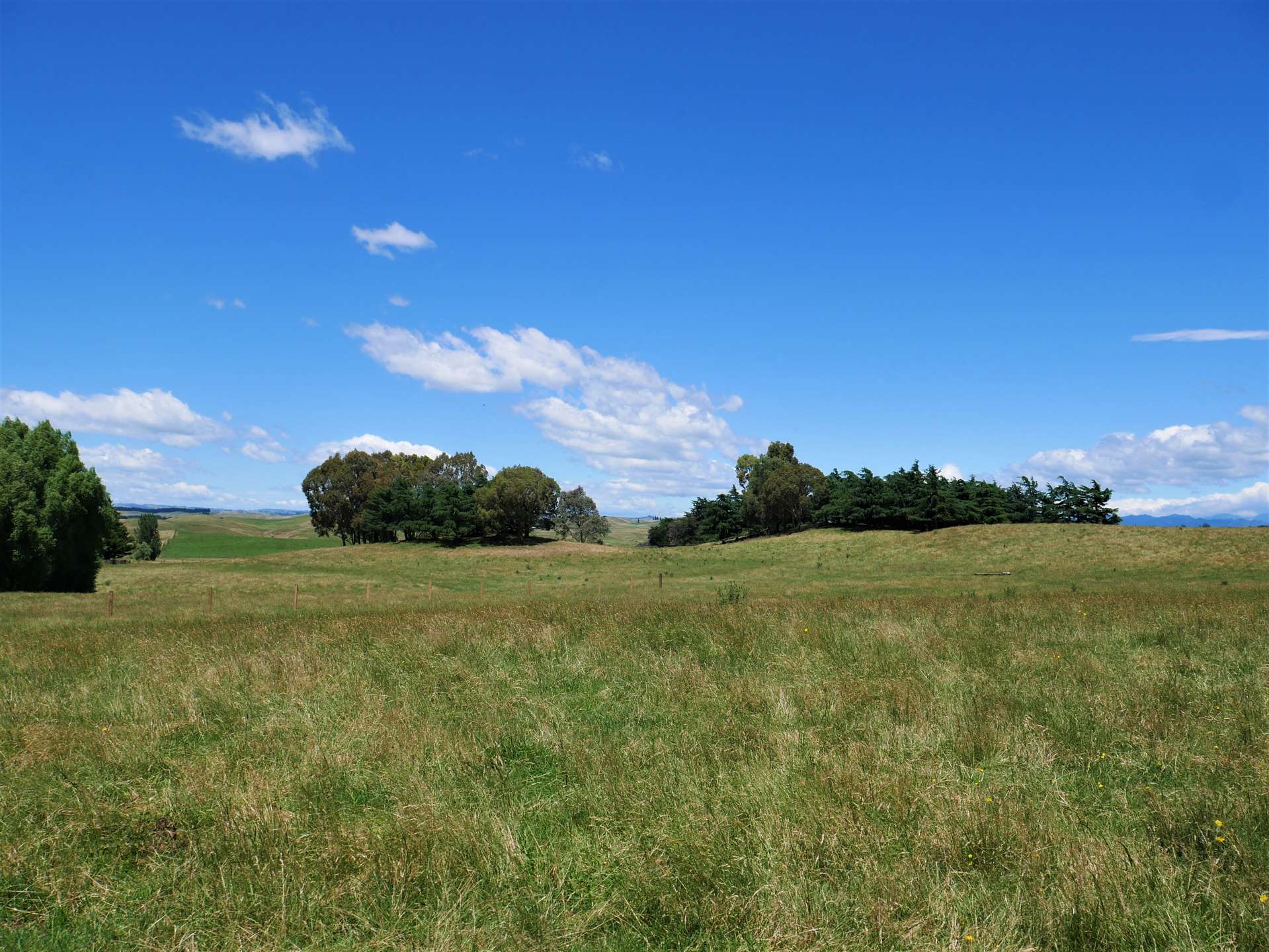 Taihape Road Sherenden_0