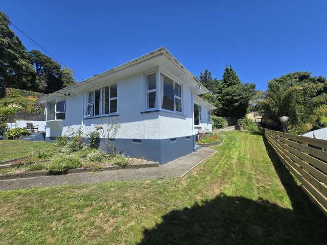 108 Huatoki Street Frankleigh Park_2