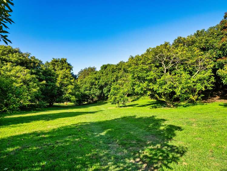 82 Upland Road Aongatete_35