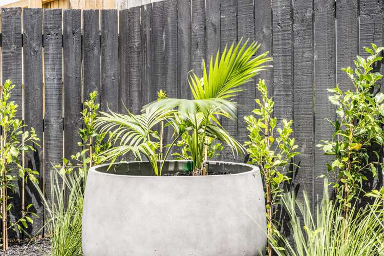 40a Alford Street Waterview_23