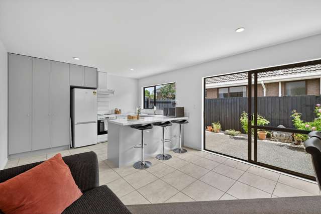 45b Surrey Street Linwood_1