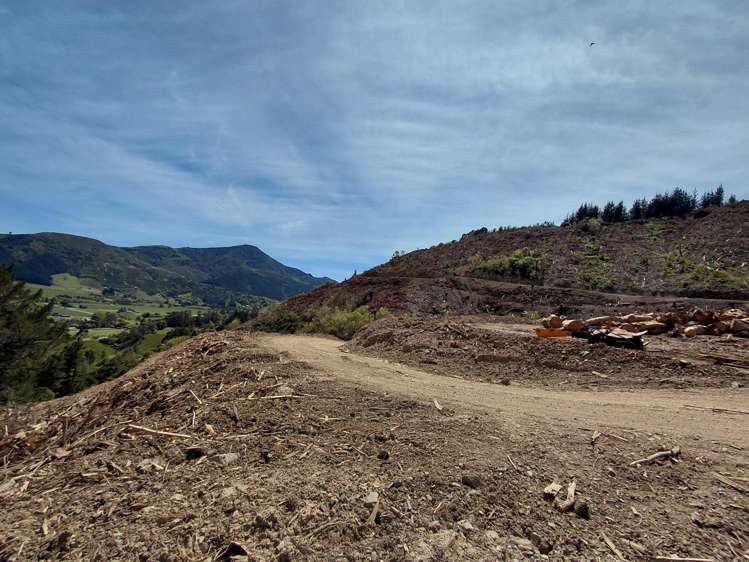 80 Ross Road Hira_10