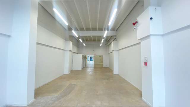 Tenancy 3/117 Willow Street Tauranga Central_1