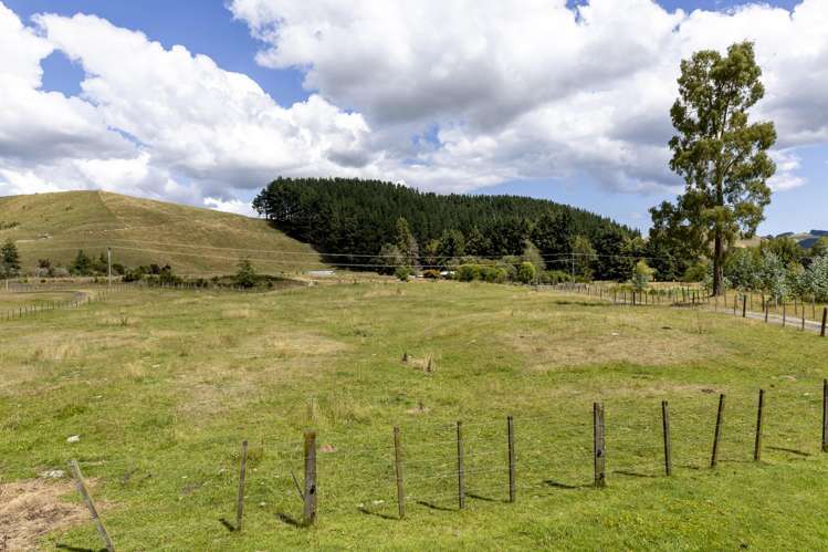 312 Whangamata Road Kinloch_31