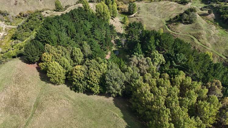 169 Campbell Road Brunswick_39