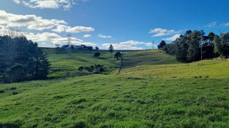 303 Port Albert Road Wellsford_24