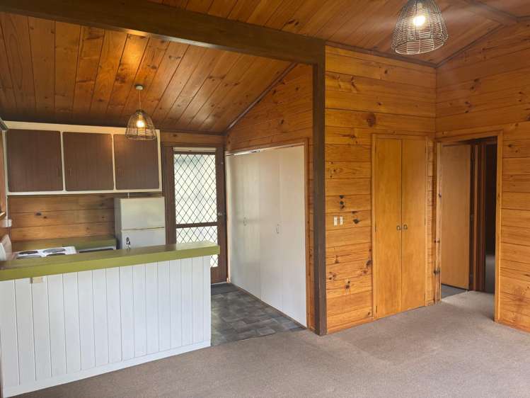 492 Tay Street Hawthorndale_3