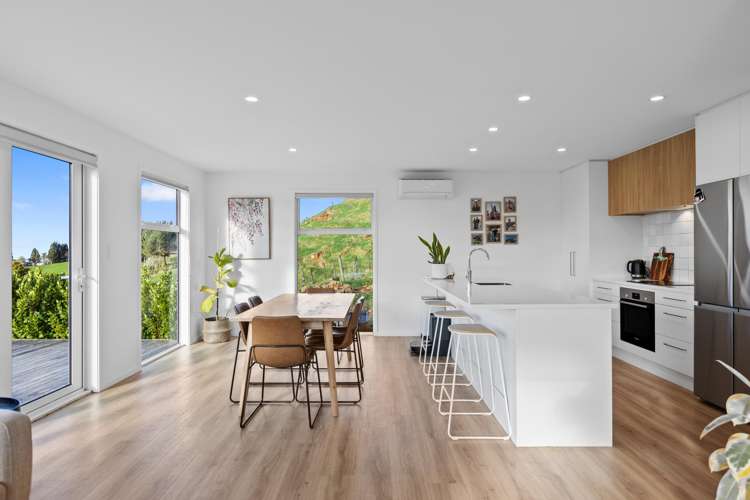 956b Whakamarama Road Whakamarama_22