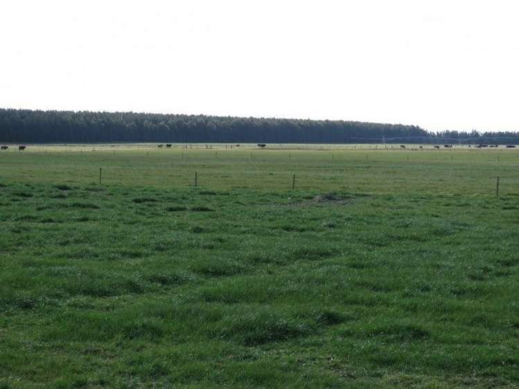 1035 Newland Road Clandeboye_29