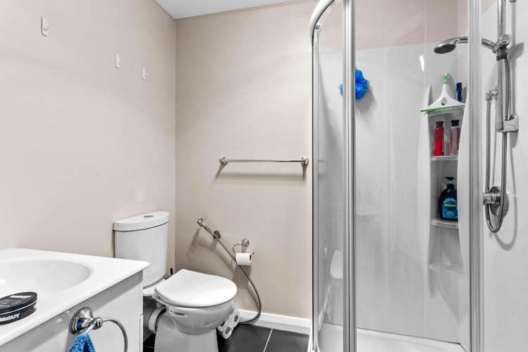 44 Larnach Road Waverley_23