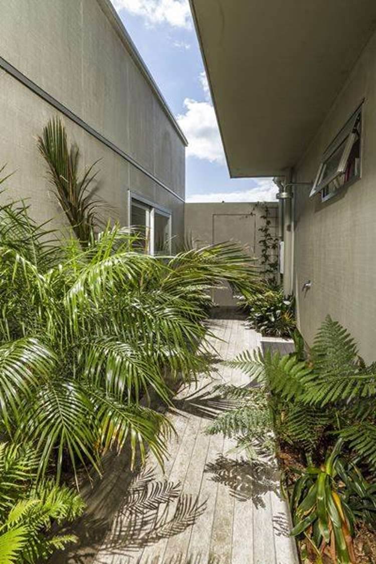 109 Adams Road Whangapoua_14