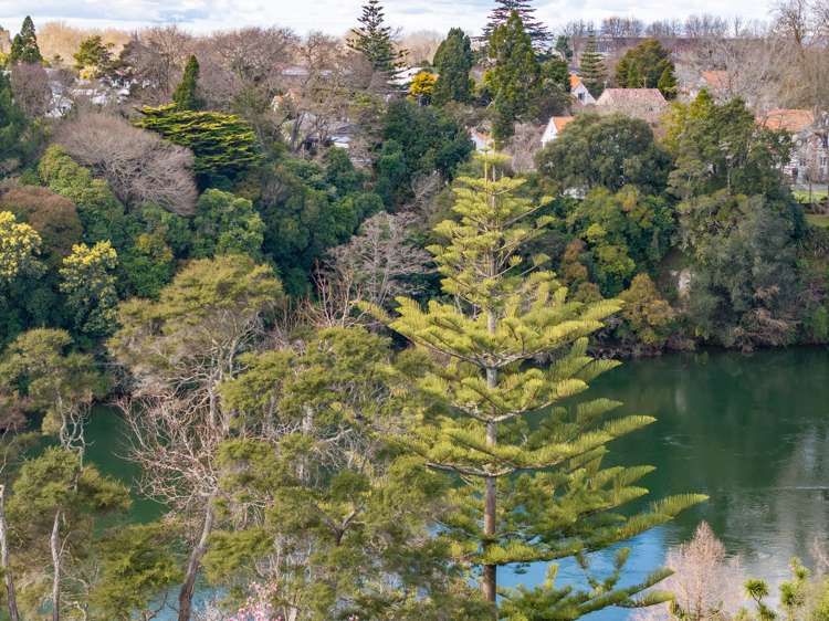 18c Clifton Road Hamilton Central_14