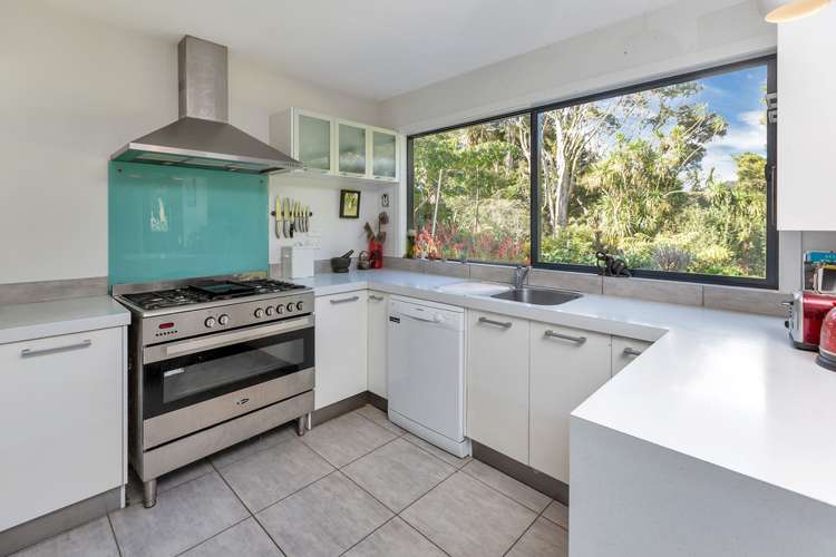 917 Springfield Road Mangapai and Surrounds_18