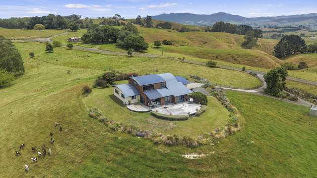 660 Quine Road Morrinsville_1