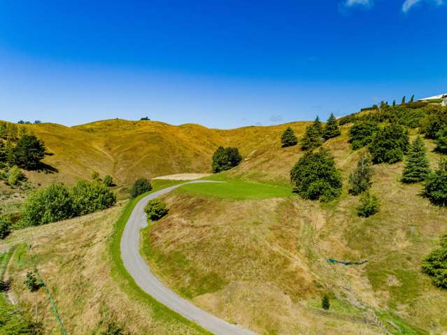727 Tuki Tuki Road Tuki Tuki_2
