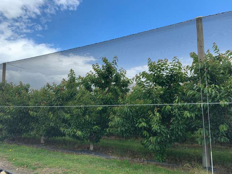 7 Mount Pisa Road Cromwell_6