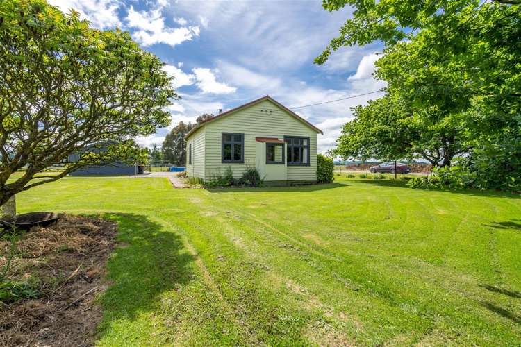 4 Newcastle Street Riversdale_15