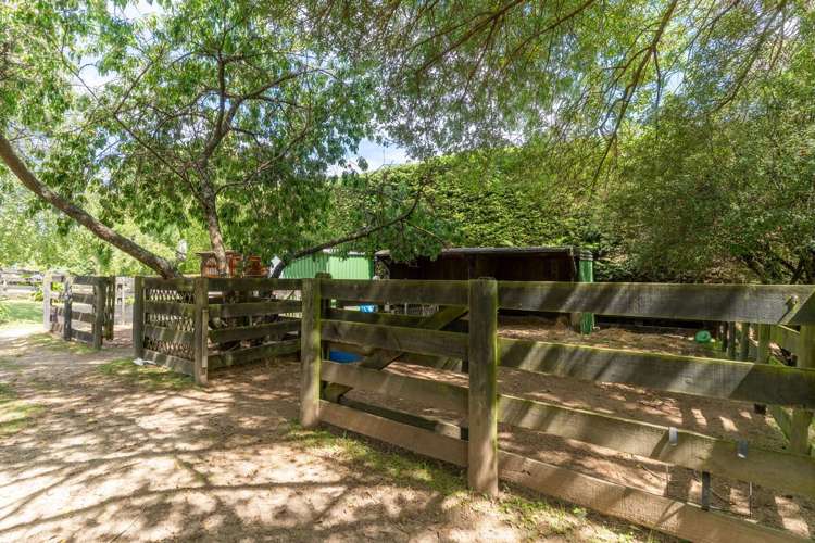 167 Lincoln Road Carterton_19