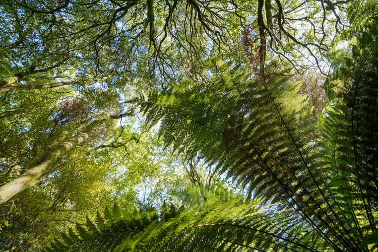 90 Marama Avenue South Otatara_16