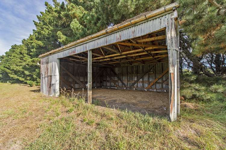 366 Newtons Road West Melton_16