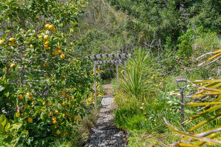 7C Hobbs Road Matakatia Bay_36