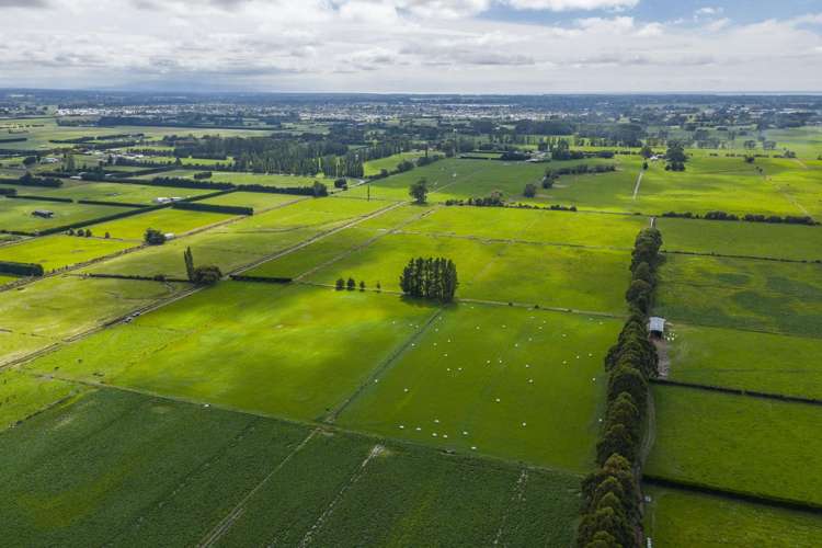 249 Plaskett Road Fernside_27