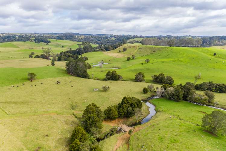 460 Pungaere Road Kerikeri Surrounds_25