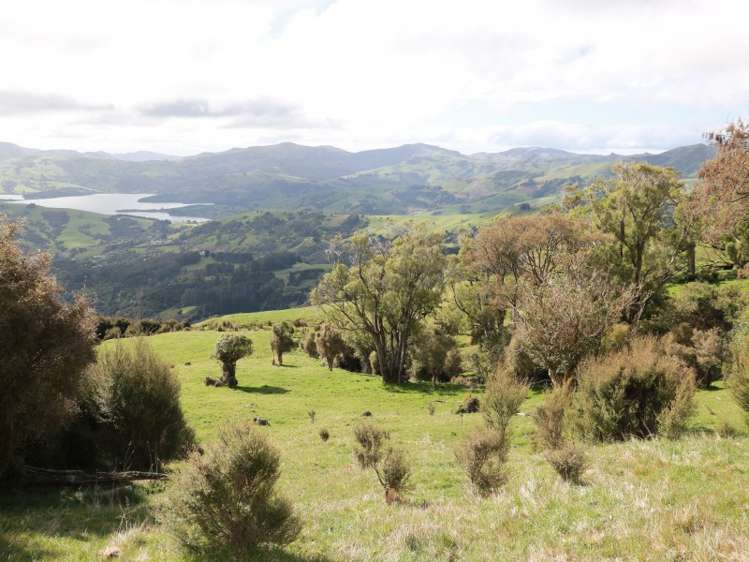 151 Stony Bay Road Akaroa_7