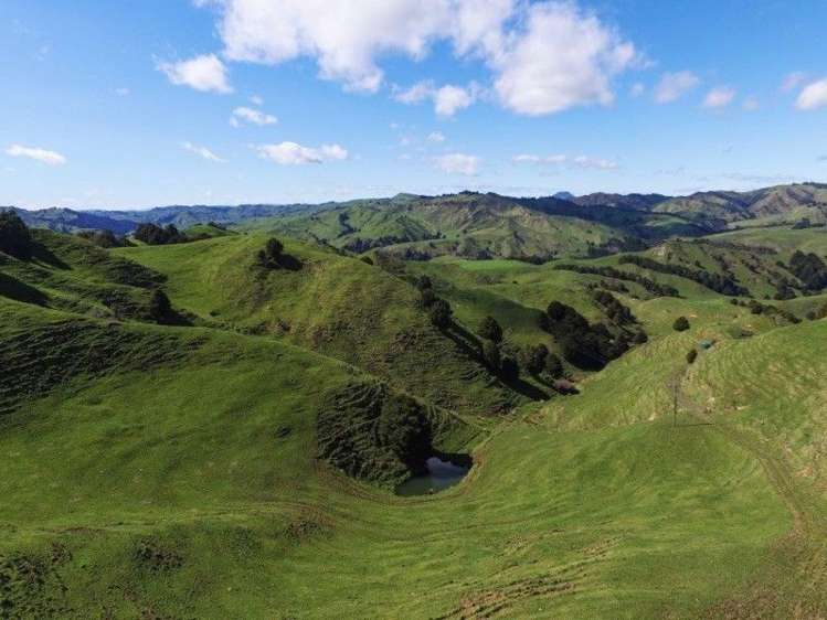 1190 Ohura Road Waimiha-Ongarue_2