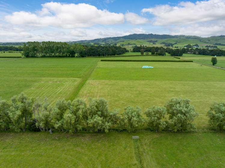 250 No 8 Road Morrinsville_10