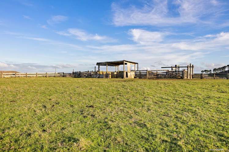 823 Wairamarama Onewhero Road Onewhero_10