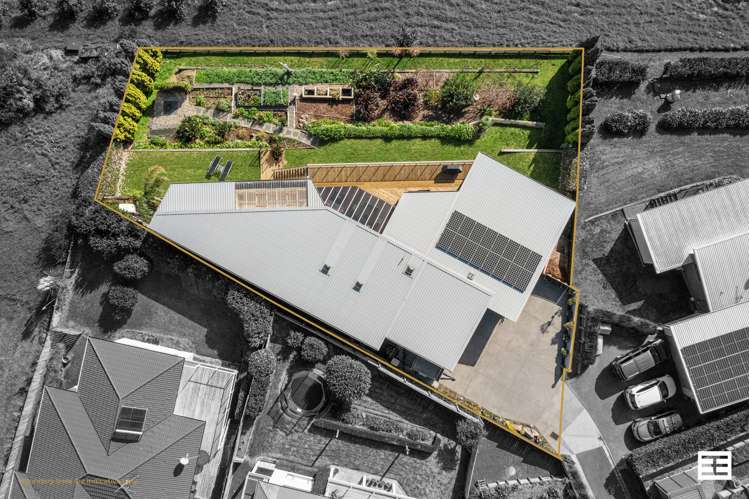 5 Diamond Head Hairini_27