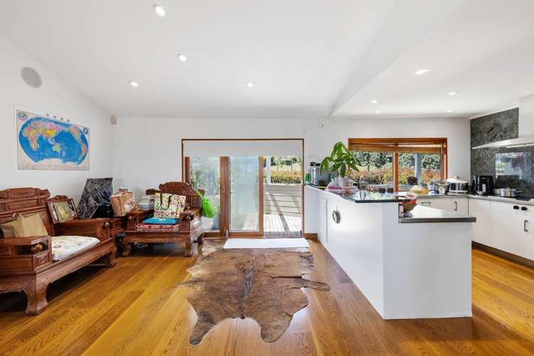30 Springcombe Road St Heliers_8