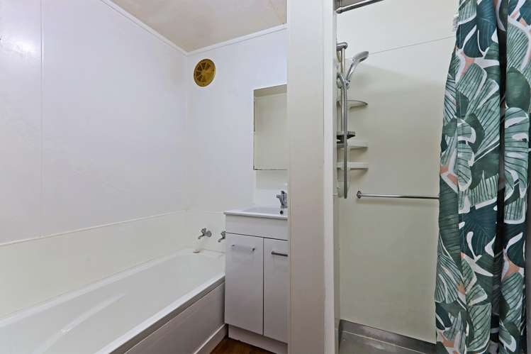 1009 Beatty Street Mayfair_8