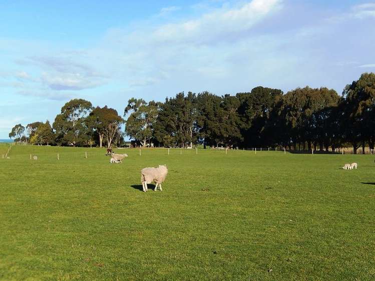 37 Clareview Road Herbert_16