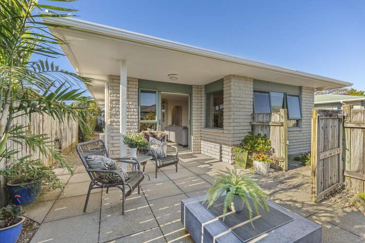 153A Carrington Street Vogeltown_23