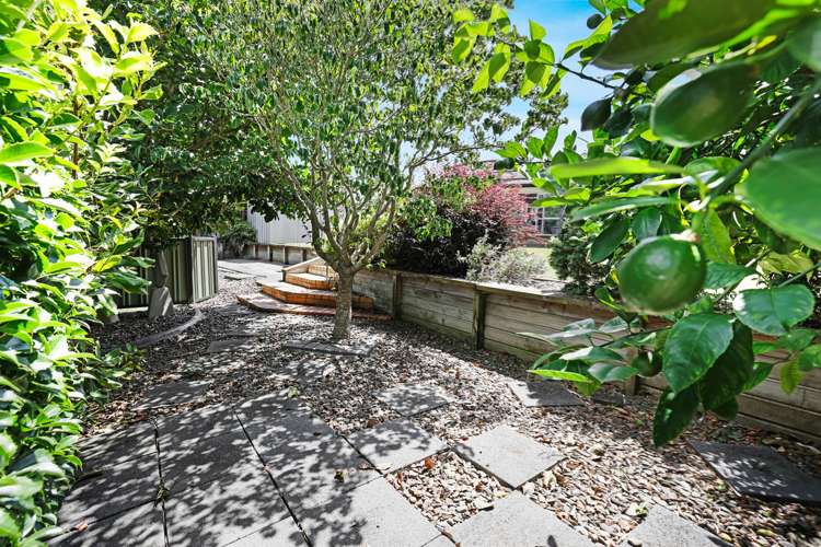 492 Preston Road Extension Te Awamutu_22