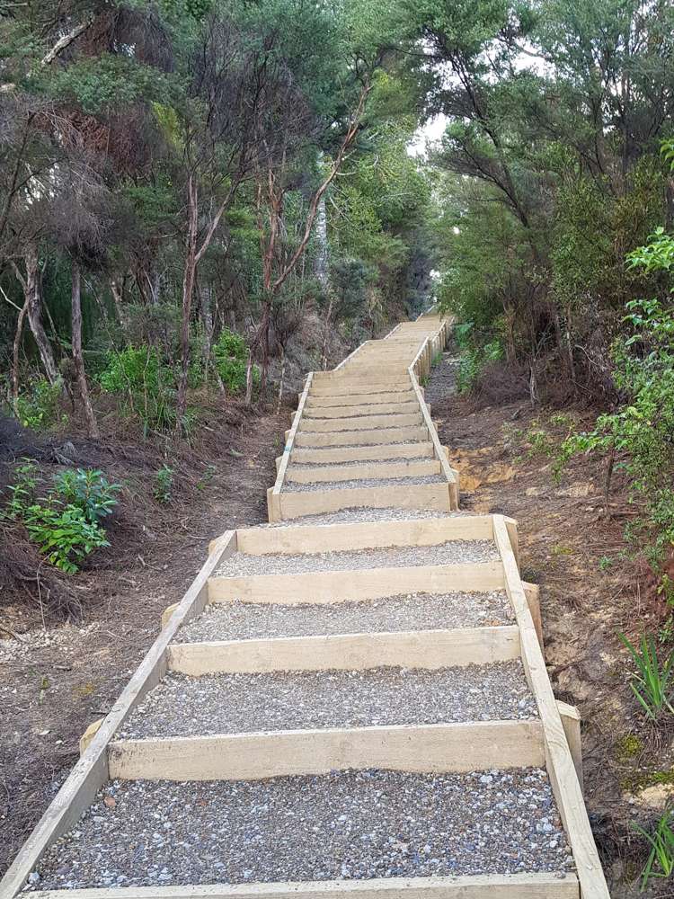 17 Carol Lee Place Albany Heights_31